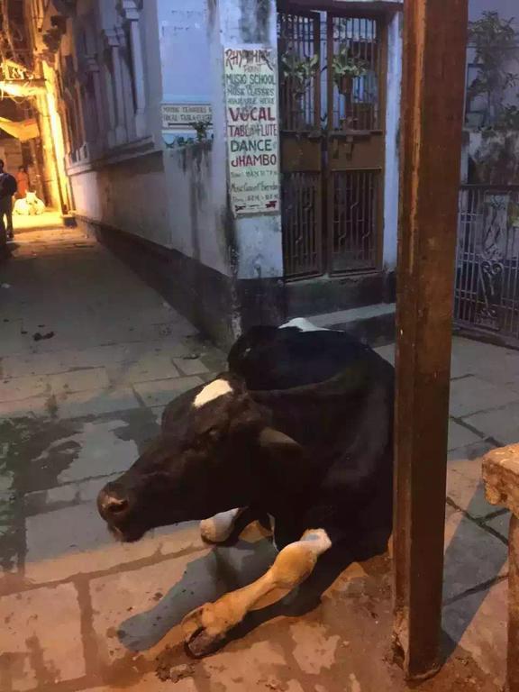 Paradise Inn Guest House Varanasi Dış mekan fotoğraf